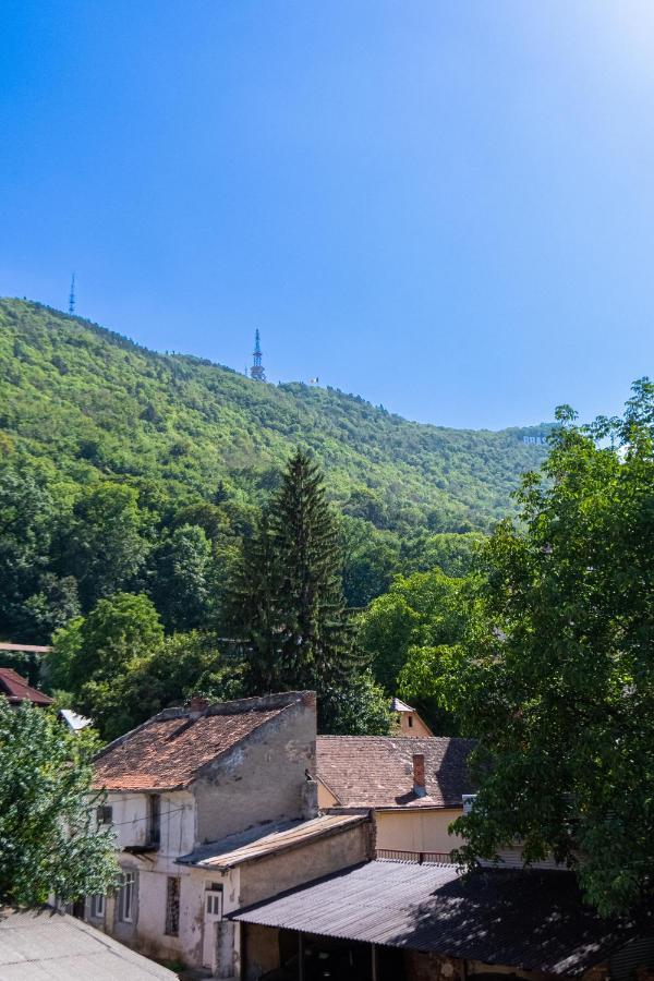 Black Gate - Quiet Studio In The Heart Of Old Town With Free Private Secured Parking Брашов Экстерьер фото