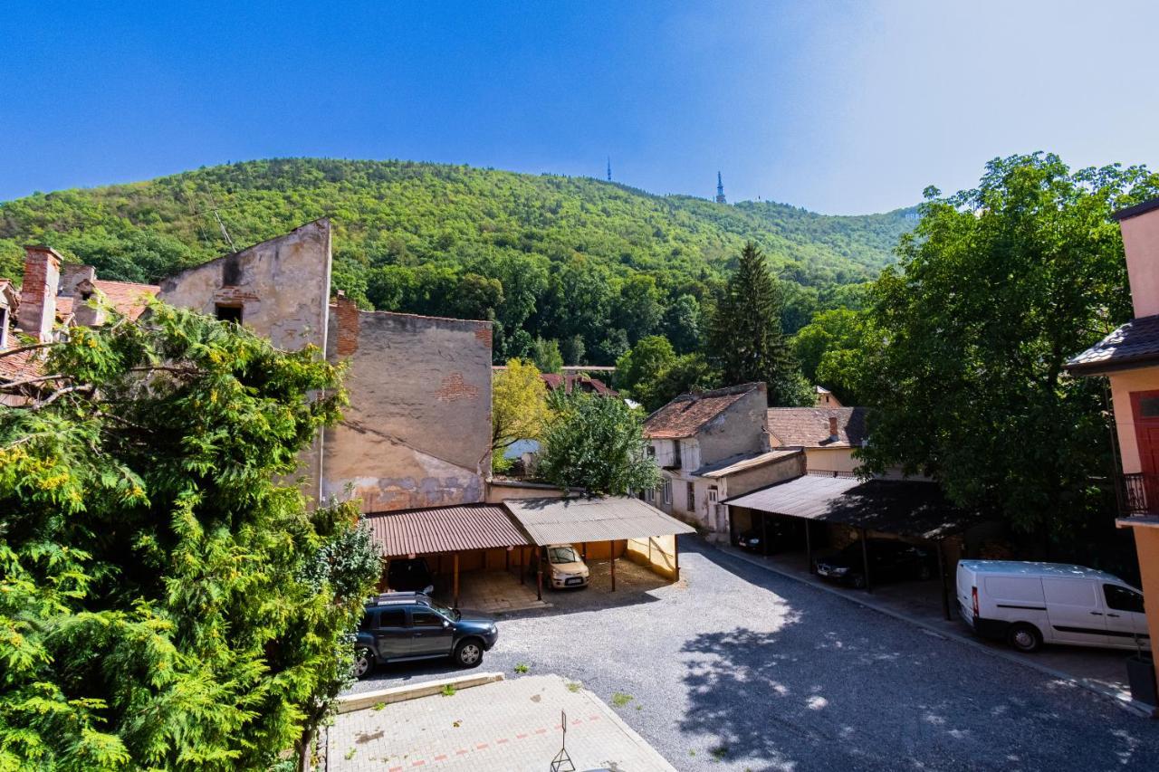 Black Gate - Quiet Studio In The Heart Of Old Town With Free Private Secured Parking Брашов Экстерьер фото